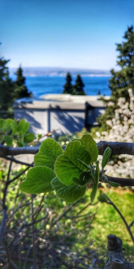 Apartments Matejcic Crikvenica Eksteriør billede